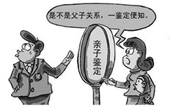 南京亲子鉴定服务机构条件和材料，南京亲子鉴定机构地址在哪里