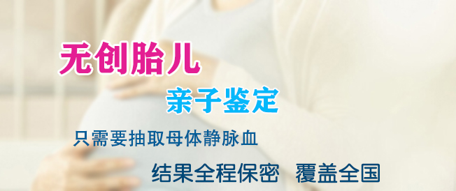 南京怀孕了需要怎么办理血缘检测,