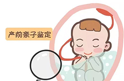 南京怀孕期间怎么做亲子鉴定，南京无创孕期亲子鉴定费用多少钱