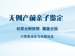 南京怀孕了需要怎么办理血缘检测